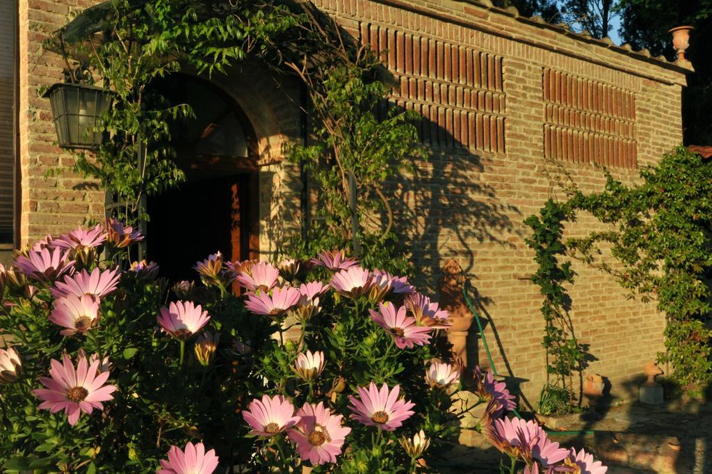 Relais Castelluccio Palusse ξενώνας Città della Pieve Εξωτερικό φωτογραφία